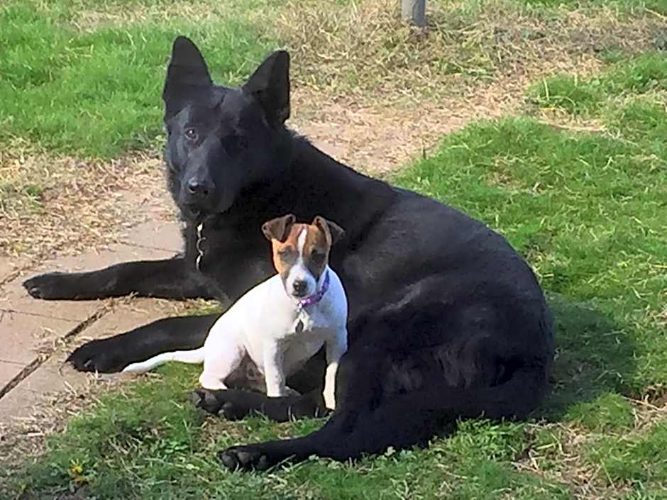 ALPINE COUNTRY MOTEL plus FREE COFFEE