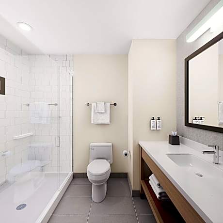 1 King Standard Mobility Accessible Roll in Shower