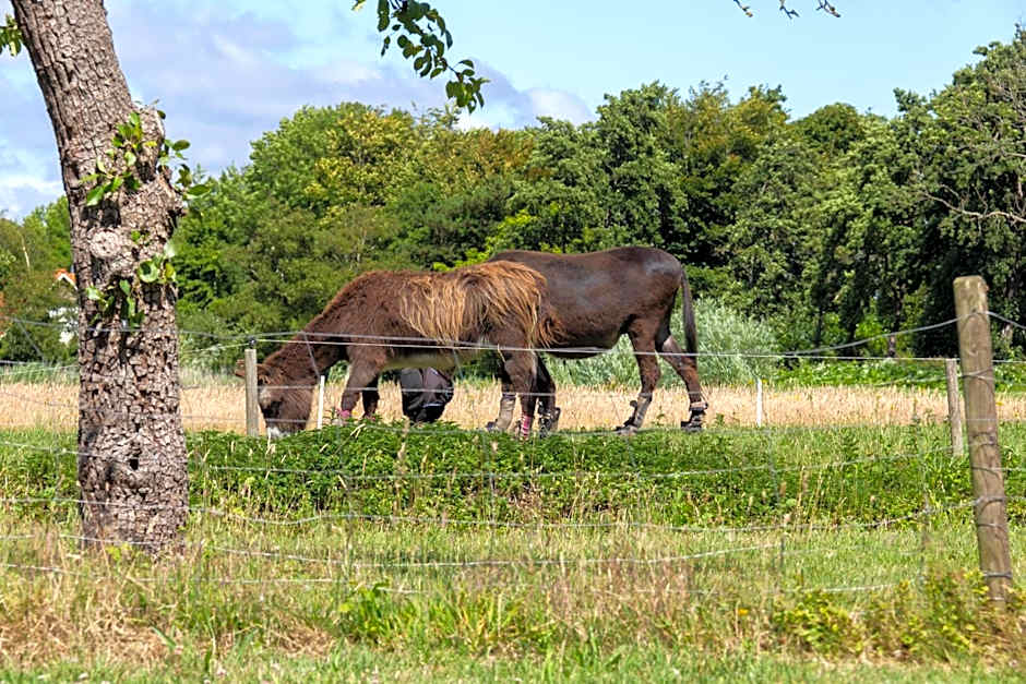 Little Creek - Lodges in het natuurgebied