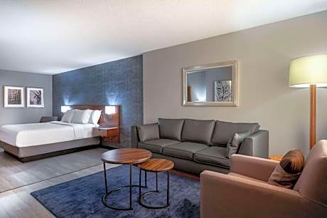 Deluxe King Room with Balcony