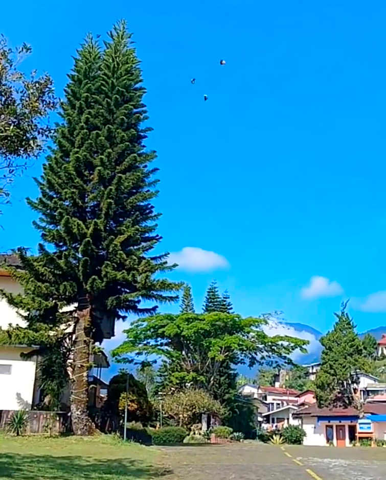 Hotel Ciloto Indah Permai