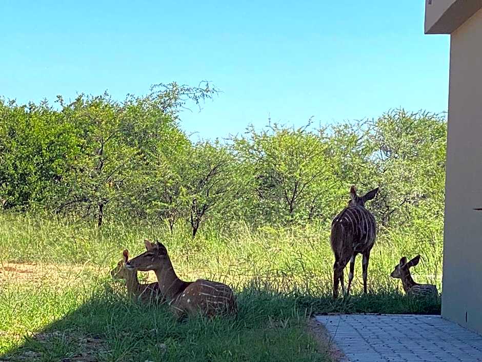 42@ Ditholo Game Lodge