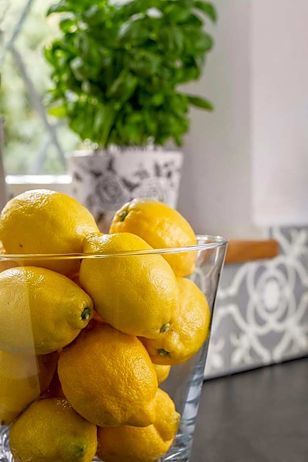 Alpenhof Garnihotel & Ferienwohnungen