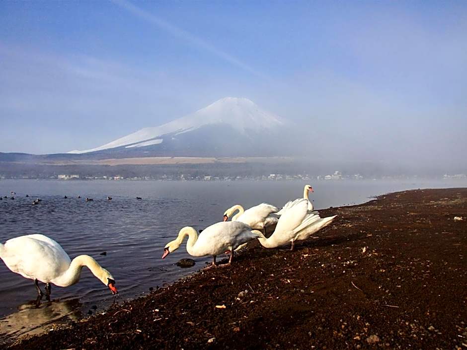 Minamitsuru-gun - Hotel / Vacation STAY 45545