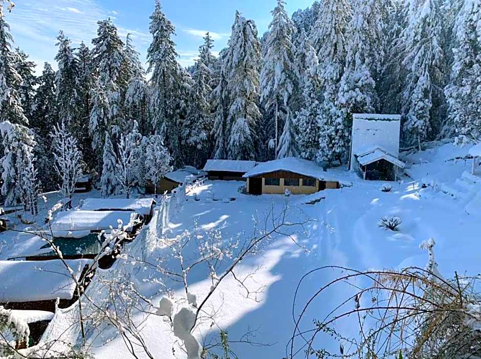 Mashobra Greens Shimla