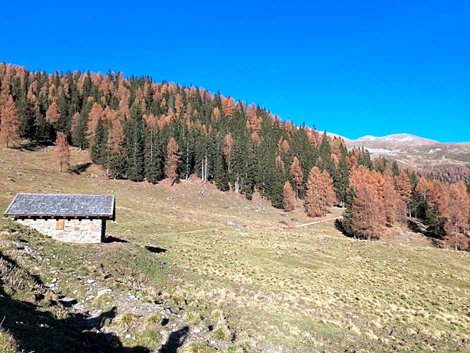 Agritur Maso Ciprianna B&B