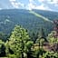 Berghotel HARZ