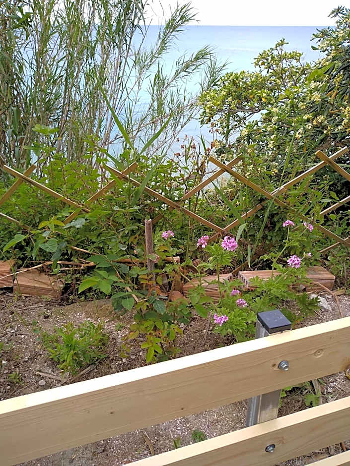 mare di zante "mare di levante"