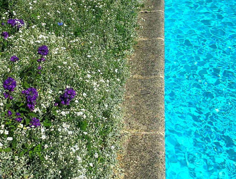 Maison d'hôtes Fleurs de Vignes