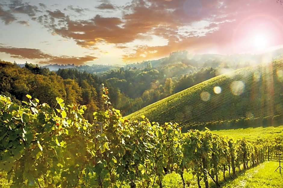 Appartement Fam.Kremser