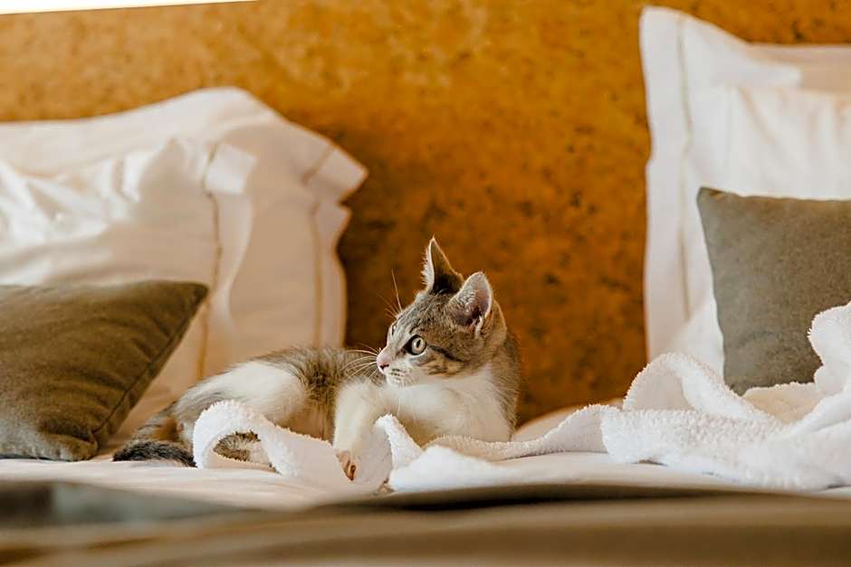 Canadiano Urban Nature Hotel