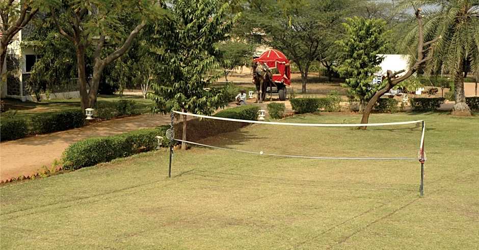 Clarks Safari Pushkar