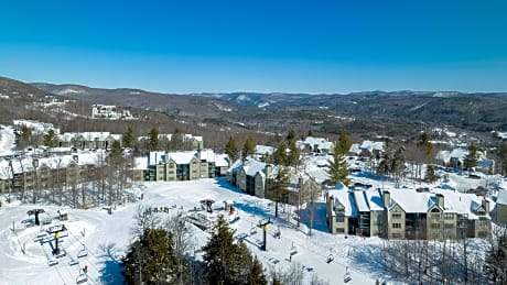 Winterplace at Okemo