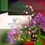 Westend Hotel