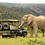 Sibuya Game Reserve and Lodge