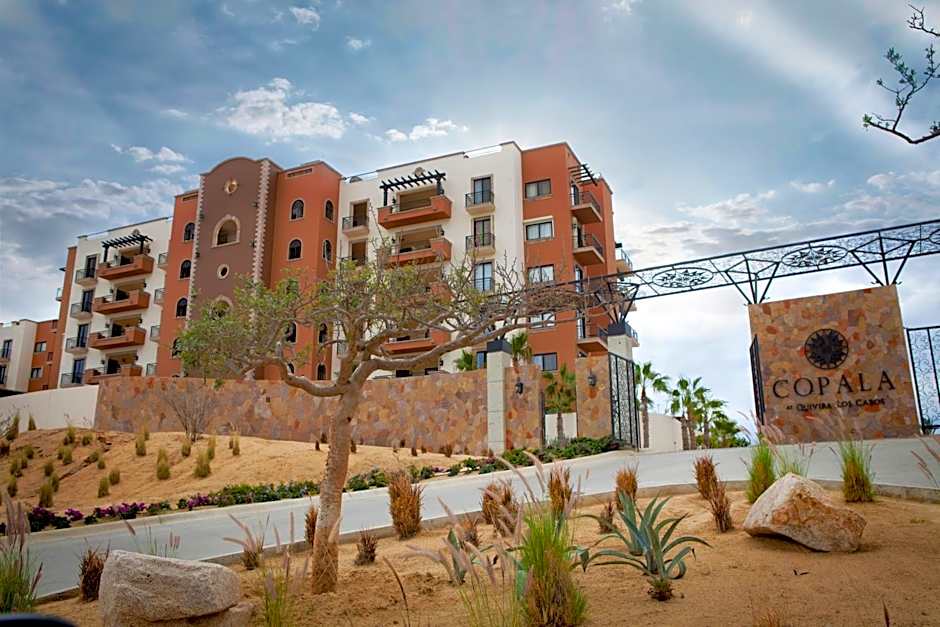Quivira Los Cabos Condos and Homes -Vacation Rentals