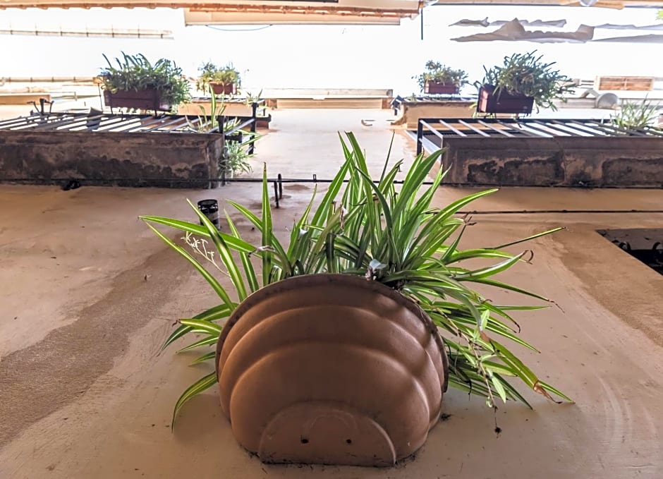 La Casa degli Angeli