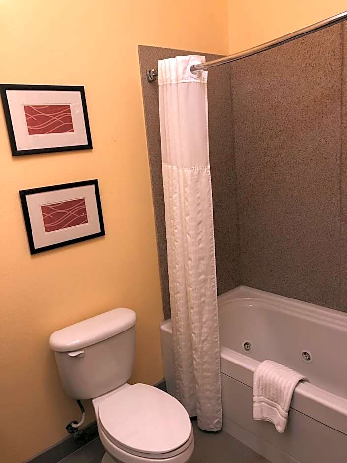 Comfort Inn & Suites Rogersville