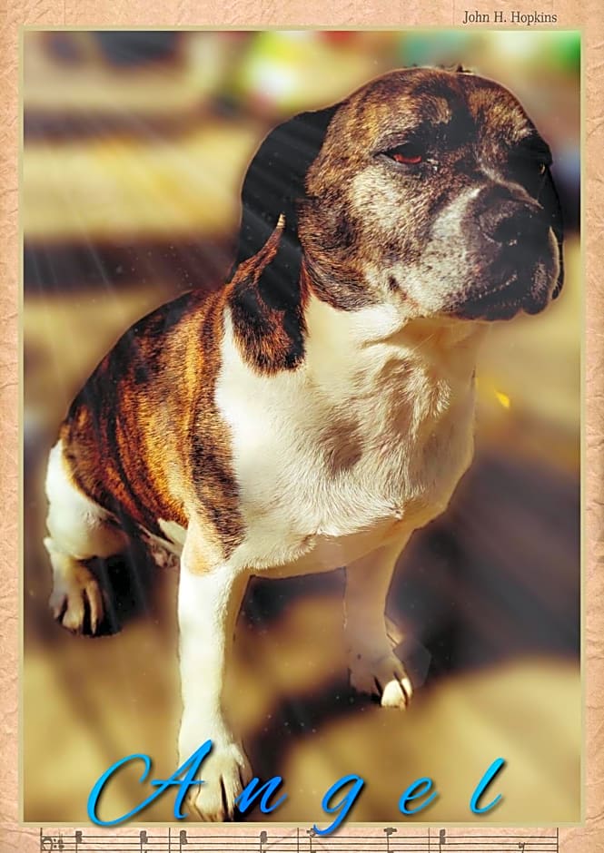 Skymist Maison d'hôtes