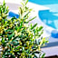 Elounda Garden Suites Heated Pool