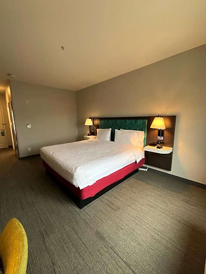 Hampton Inn By Hilton Montrose, Co