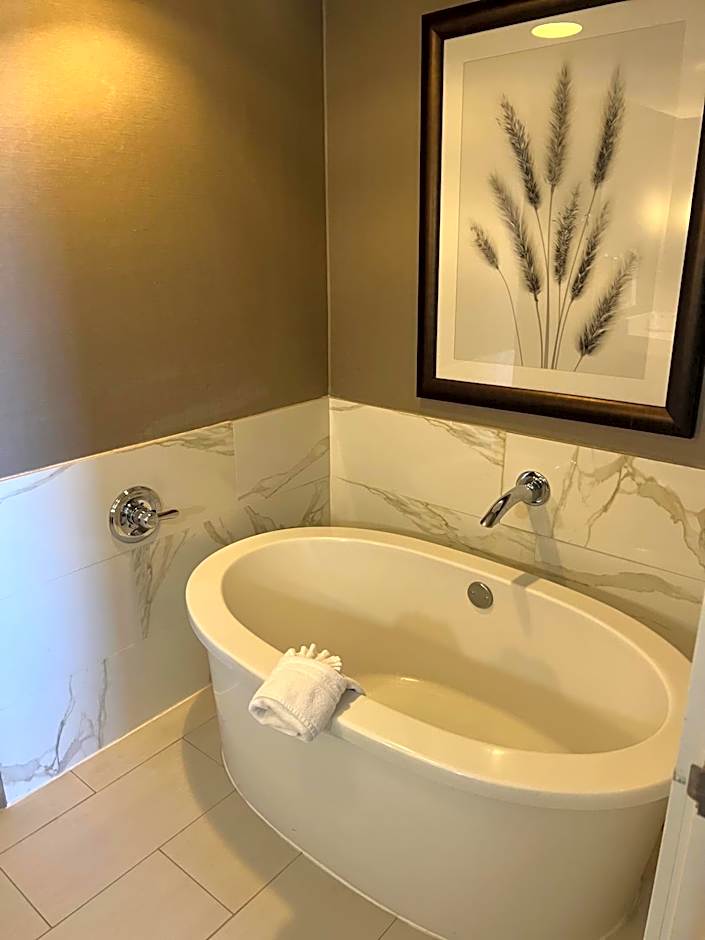 Wyndham Midland Downtown