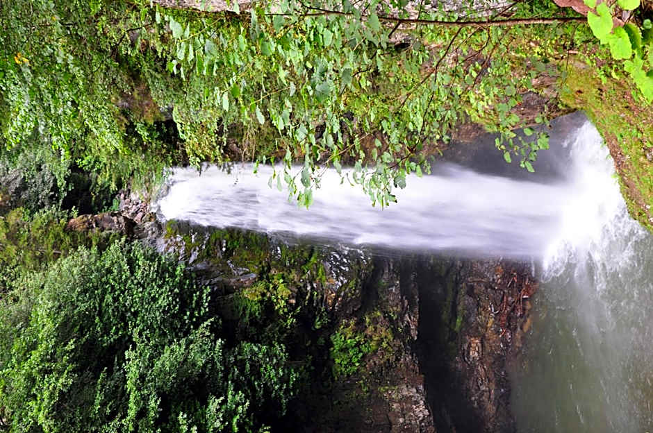 Ayder Hasimoglu Hotel