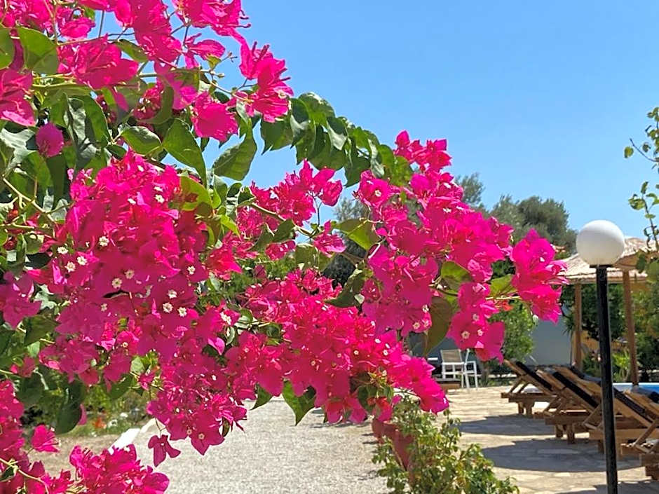 Anastasia Apartments