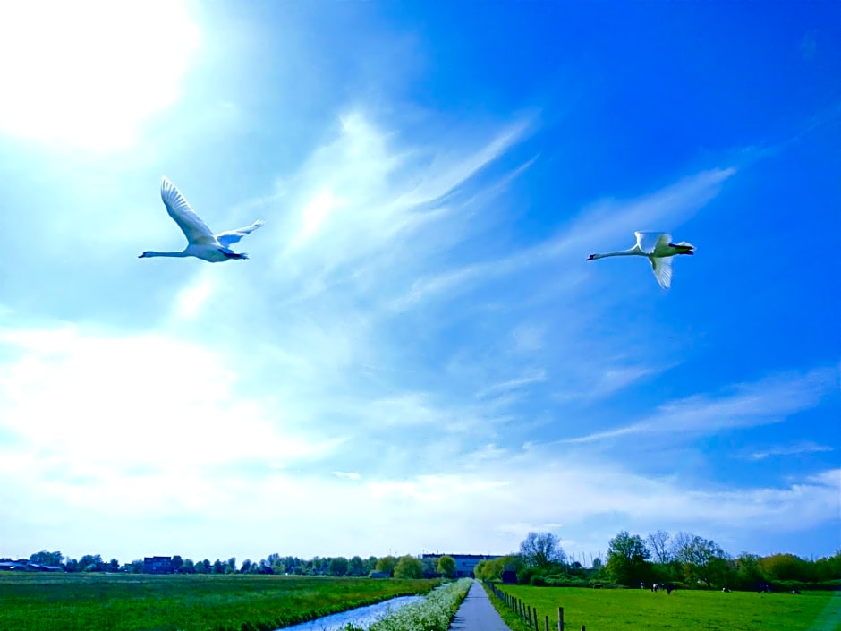 B&Bslapenopeeneiland