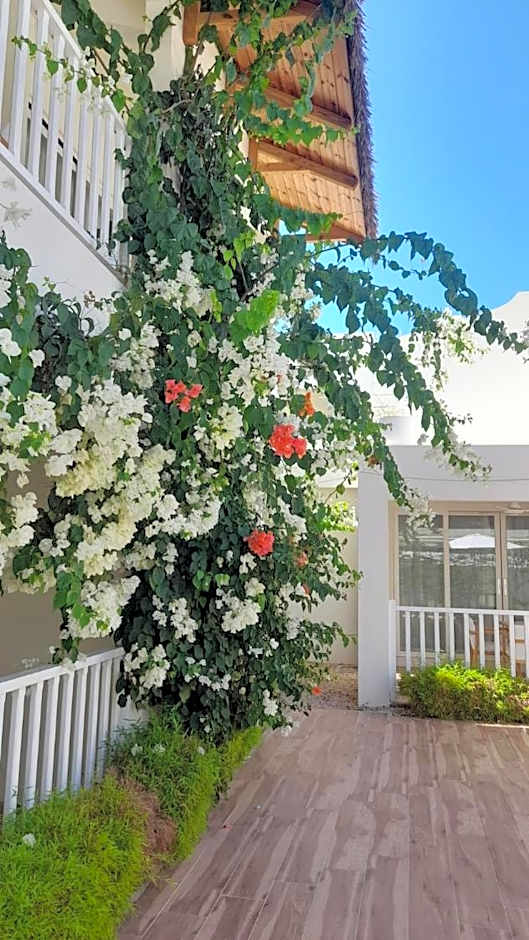 Le Clos des Bains Mauritius