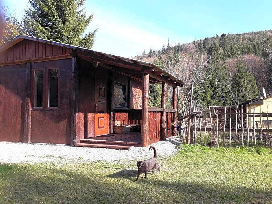Zbójnicki Ost¿p-Nocleg Trapera