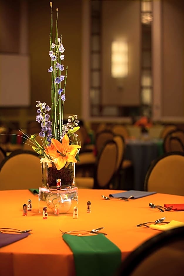 The Park Vista - A DoubleTree By Hilton Hotel - Gatlinburg