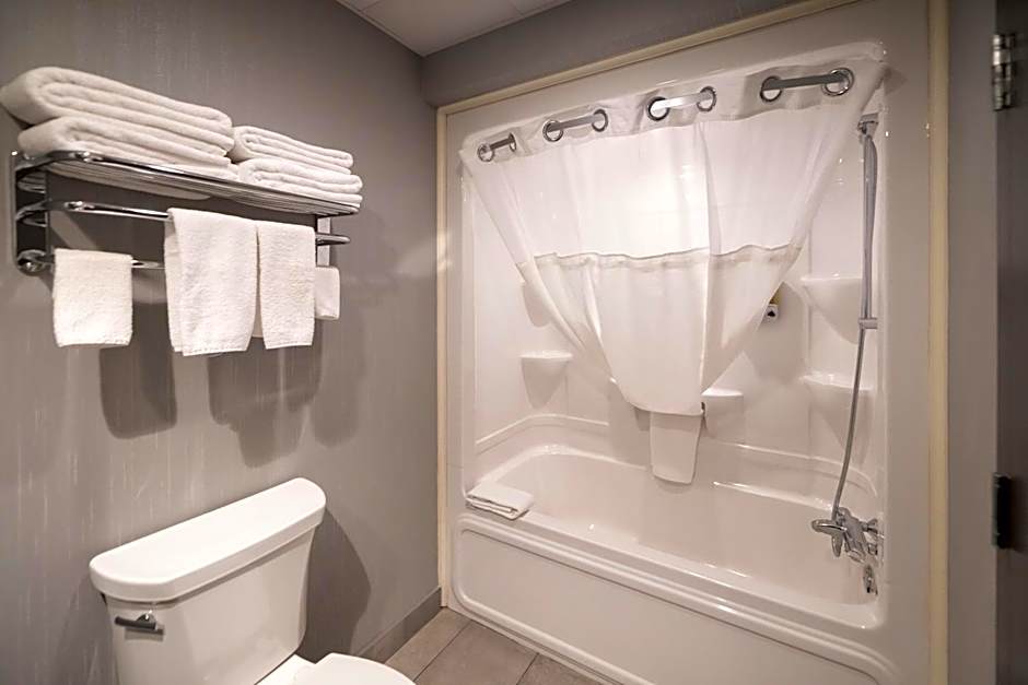 Hôtel & Suites Le Dauphin Québec