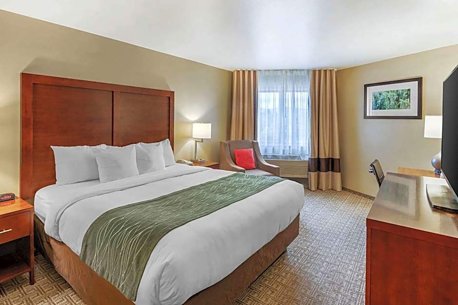 Comfort Inn Missoula near University