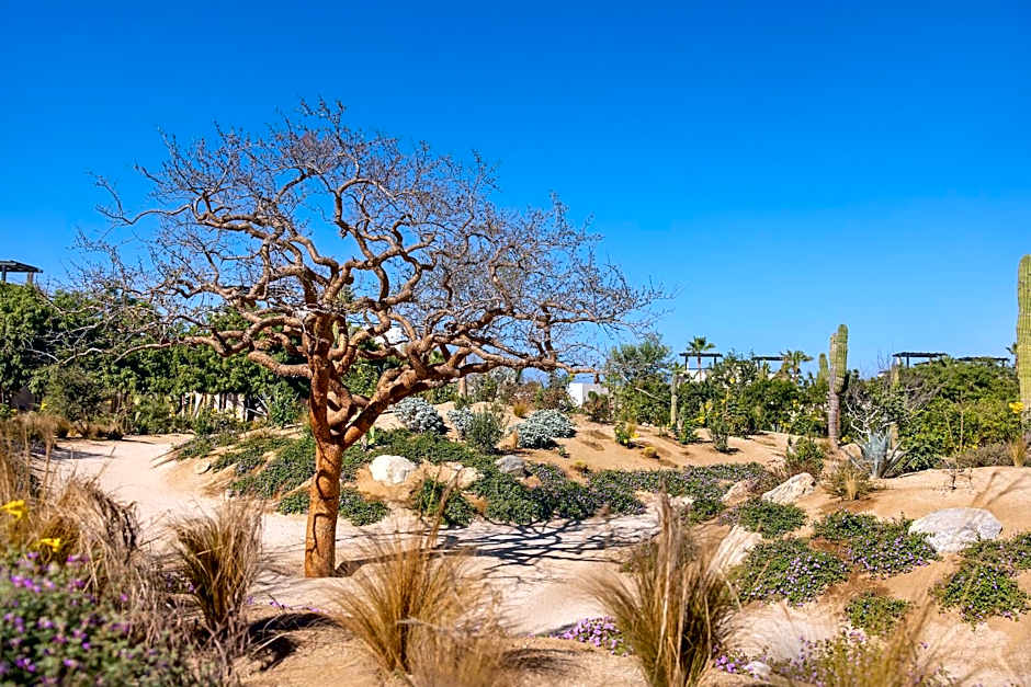 Kimpton Mas Olas Resort and Spa By IHG