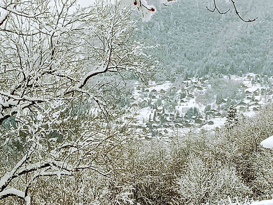 Le Chalet Du Blanc Spa yoga