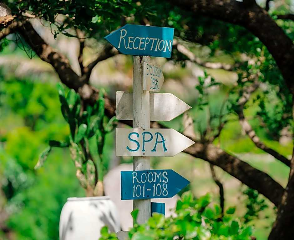 Pearl Beach by Sansi