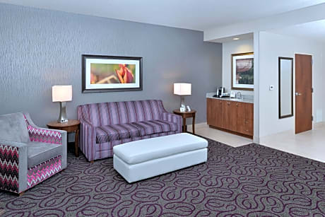 1 King Bed 1 Bedroom Suite