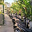 Tropical Canggu Hostel