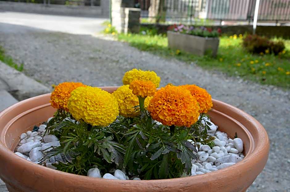 Hotel Rosa Serenella