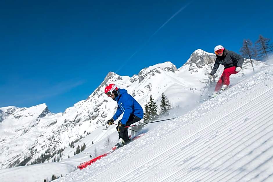 Apart Hotel Alpenhof Werfenweng