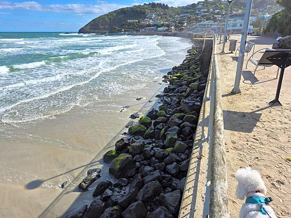 Rosemount B&B by the Sea St Clair