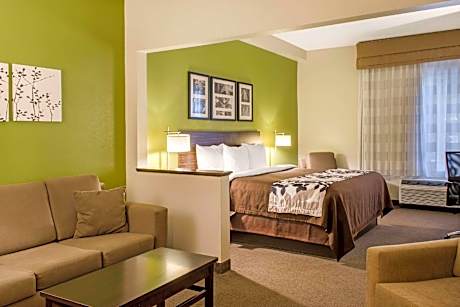 1 King Bed, Suite, Non-Smoking