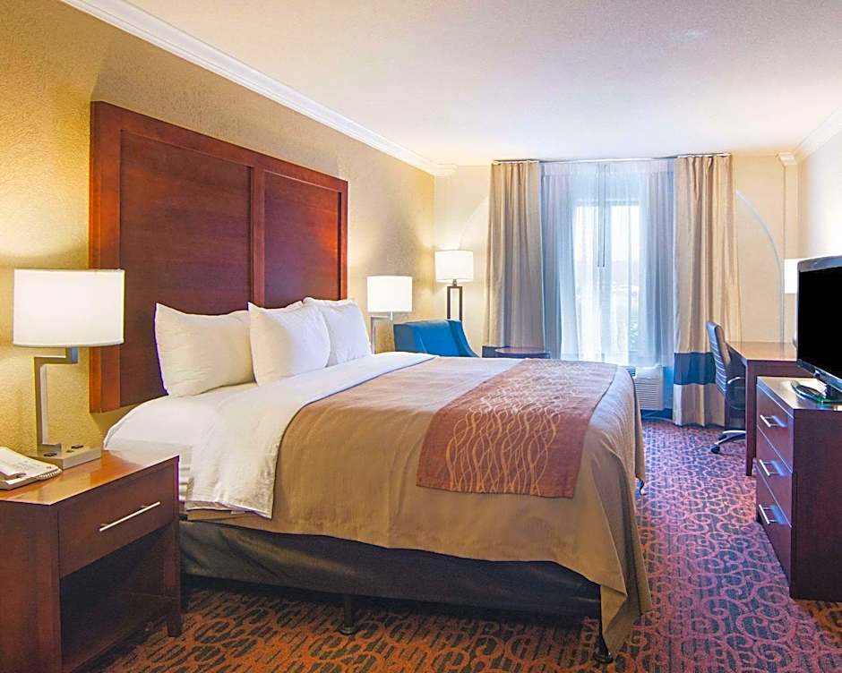 Comfort Inn & Suites I10 - Mason Road