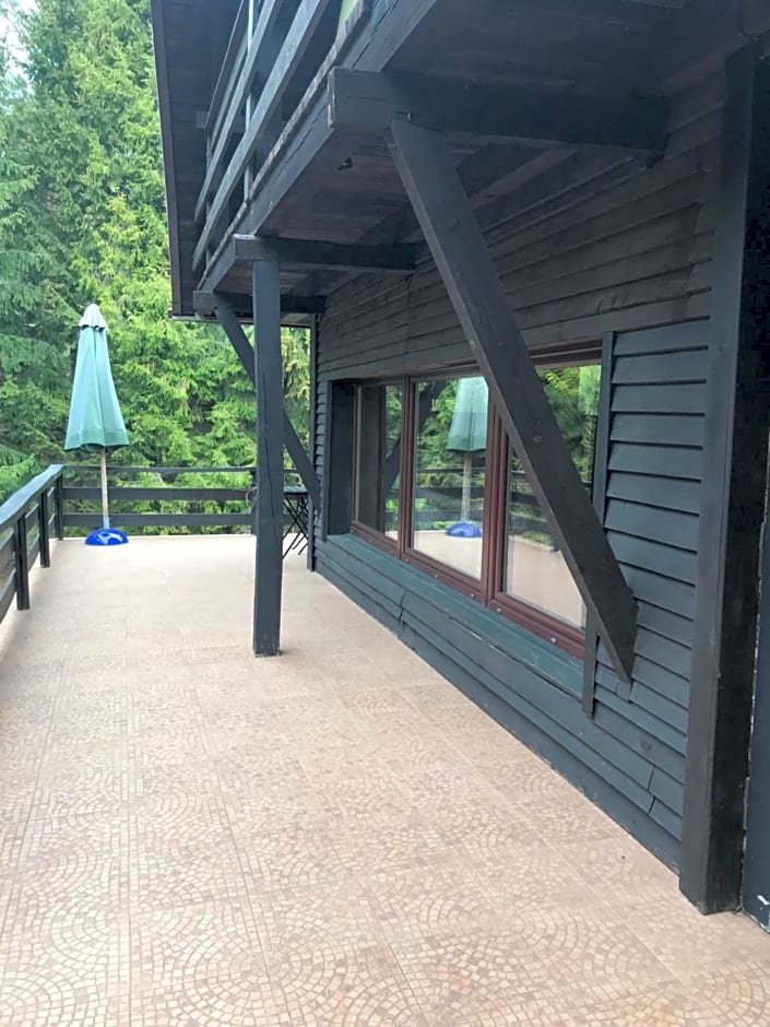 Dom letniskowy POŚRÓD KASZUBSKIEGO LASU