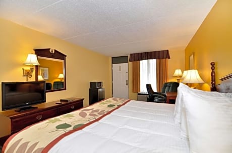 accessible - 1 king - mobility accessible, bathtub, non-smoking, continental breakfast