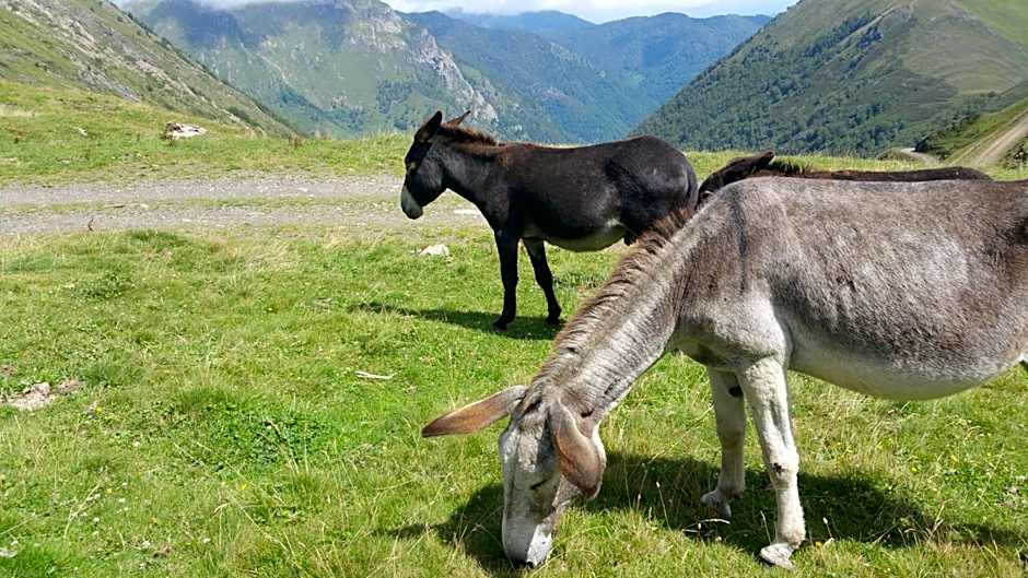 Hostellerie de La Poste
