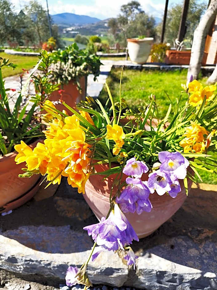 Olive Garden Retreat