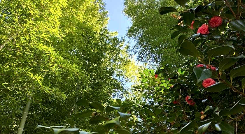 La Casa Blu di Monasteto