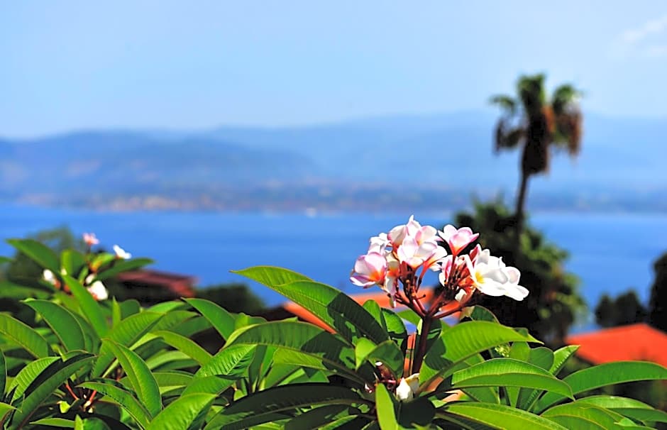 Villa Scilla e Cariddi